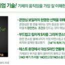 대성라인