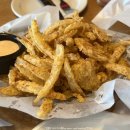 칵투스 아일랜드 이미지