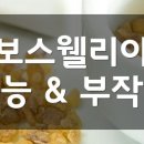자연치유쑥뜸