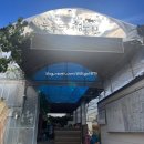 늘푸른농장 | 늘푸른 체험농장 2박 3일 1일차서울 출발 실제 5시간 이상… 그래도 다시 가고 싶은 그날의 기록