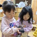1.2~6 🗓 26년 새 달력 만들기/버섯키우기 이미지