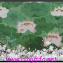 허상과 실상의 공존 이미지