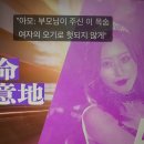 레드향민박