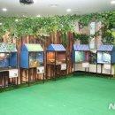 하이원추추파크 이미지