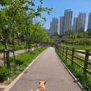 위례역사길 | 위례 역사 수변공원 강아지 산책 후기🐾 창곡동 숨은 힐링코스