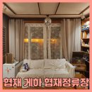 제주도게스트하우스 협재정류장 | 제주도게스트하우스 협재정류장 1박 및 고작가 스냅 후기