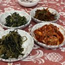 소금빌레 | 여자 혼자 파리 한인민박 뽀뿌리민박 후기 빌레쥐프 치안