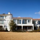 올리브낭 이미지