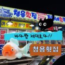 청용횟집 | 🐟 속초 청용횟집 방문 후기 | 모둠회부터 매운탕 수제비까지 완벽했던 곳