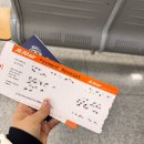 인터넷게이트 | 인터넷면세점 인도장ㅣ이솝 향수, 만다리나덕 캐리어 게이트백 후기