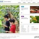 섬배마을 이미지