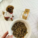 단골가개 이미지