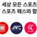 플레이스포츠