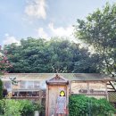 메종드롸루코 이미지