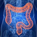 현클리닉 이미지