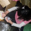 예성초등학교 이미지