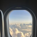 에이스침대 대전사옥 | 대전 신혼여행 발리로 허니문 후기