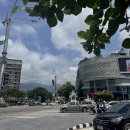 족발푸드 이미지