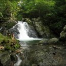 삼둔사가리 이미지