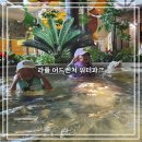 신안파크(아) 경로당 | [신안 여행] 아이랑 함께한 신안 라마다프라자호텔...라풀 어드벤처 워터파크 후기 (feat. 주말 오전 타임)