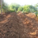 새벽농장 이미지