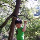 아이써밋어린이집 이미지