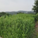 (유)대풍 이미지