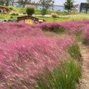 다산세천1 이미지