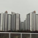 보람메딕스 네이버블로그
