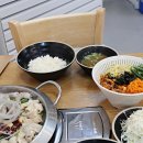 최강낙지 이미지