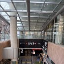 삼시한끼고구마 | 강남구청역 두껍삼 | 청담 점심 추천 두껍삼X경몽루 역대급 콜라보 마파삼 전골 청담직영점 솔직 후기