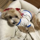 클러스터라운드 이미지