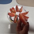 늘푸른축산물 | 농라) 늘푸른사람들 토마토