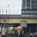 한산일주로가로수 | 도쿄스냅 도쿄치즈 후기│도쿄타워 코스 포토스팟
