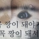 매시코리아 이미지