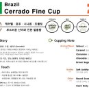 파인컵