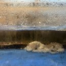 착한낙지홍도점 이미지