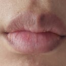 꽃물 | 꽃물틴트립(입술문신) 후기(진행중)💋