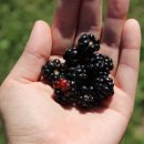 생한의원 이미지