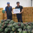 김성철 농장 도민일보