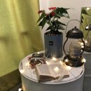 정 스테이 이미지