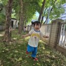 세서울어린이집 이미지