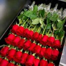 보스헤어 이미지