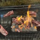 글램독청평 이미지