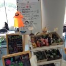 엑스포약국 이미지