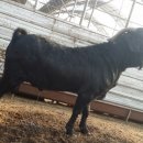 이천제이농장 이미지