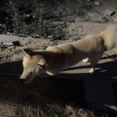 도곡15리 마을회관 이미지