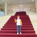 창인 메디칼 | 제주 위호텔 슈페리어룸 1박2일 제주도 호캉스