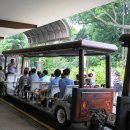 5. 새들의 낙원 주롱 새 공원(Jurong Bird Park) 이미지