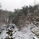 트레블첵 S트레인과 함께 화천숲속야영장 후기-(2020.1.19-1.20)